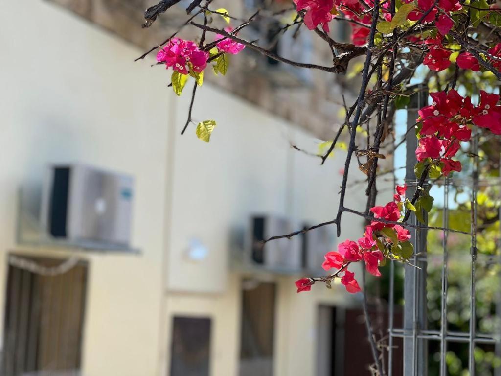 Godson Talpiot Aparthotel Haifa Exterior foto
